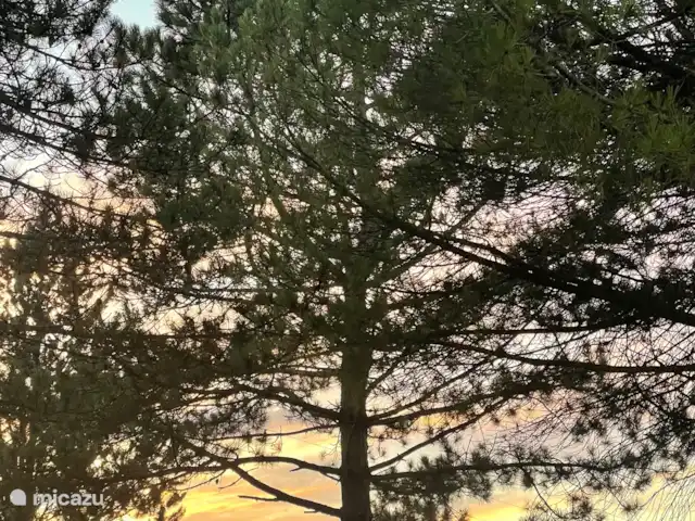 Le Vacher kopen in Frankrijk, Ardèche, Beaulieu (Ardèche) - vakantiehuis