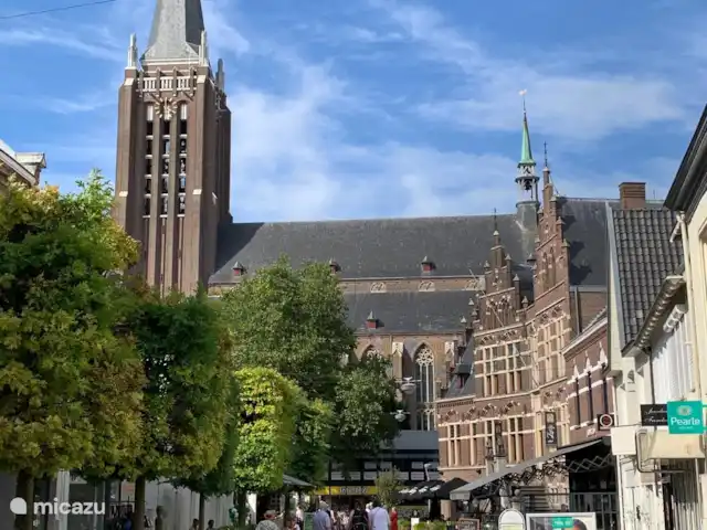 Luxe Chalet op Idylisch Park kopen in Nederland, Noord-Brabant, Overloon - chalet