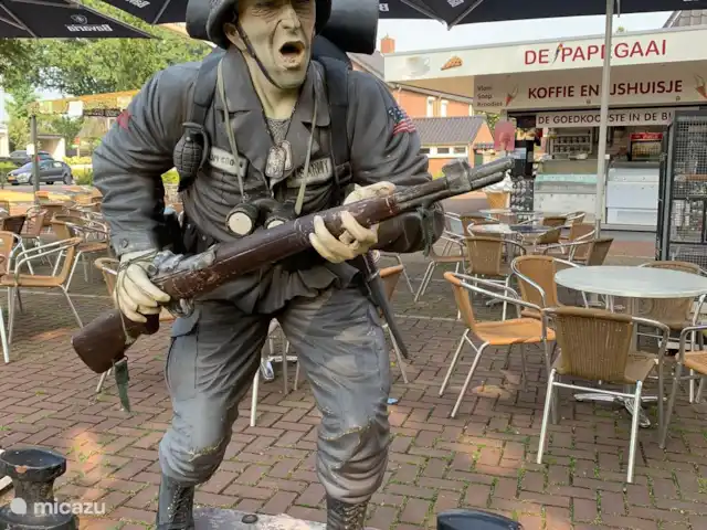 Luxe Chalet op Idylisch Park kopen in Nederland, Noord-Brabant, Overloon - chalet