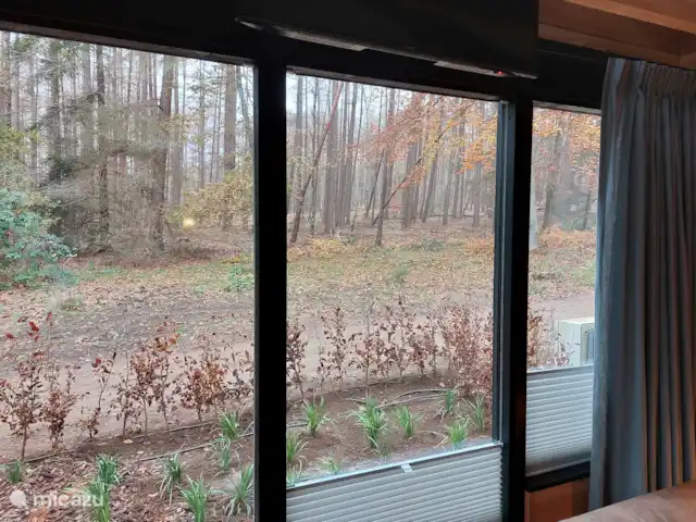 Comprar una chalet en Países Bajos, Utrecht, Doorn - Precioso chalet en el bosque con terreno privado