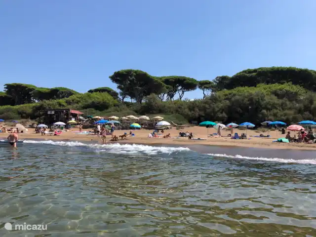 Comprar una casa paredada en Italia, Toscana, Suvereto - Casa Suvereto - Toscana