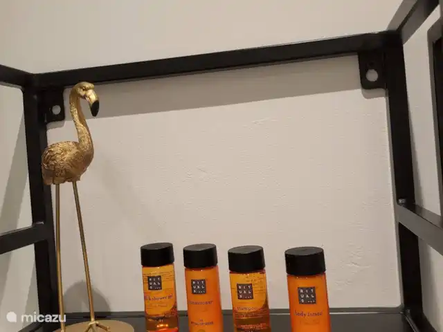 Luxe recreatie appartement aan zee kopen in Nederland, Zeeland, Sint Annaland - appartement