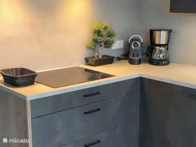 Luxe recreatie appartement aan zee kopen in Nederland, Zeeland, Sint Annaland - appartement