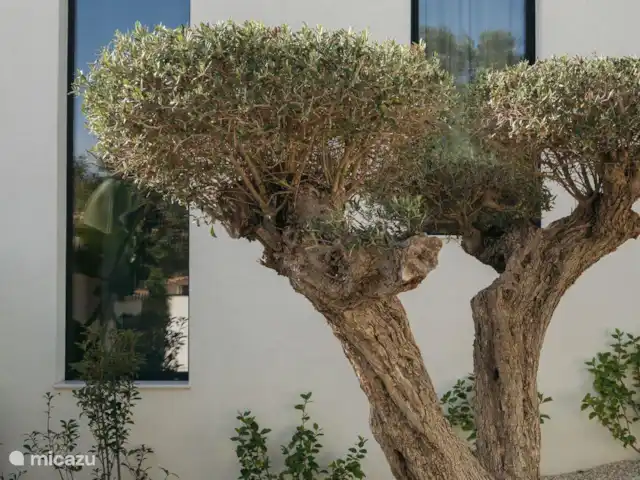 Prachtige villa Cumbre del Sol kopen in Spanje, Costa Blanca, Benitachell - villa