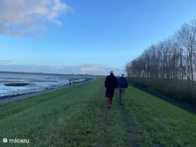 Het Waterhaantje kopen in Nederland, Zeeland, Kattendijke - vakantiehuis
