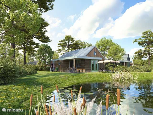Buy a holiday home in Netherlands, Drenthe – holiday house Detached house Zwanemeerbos