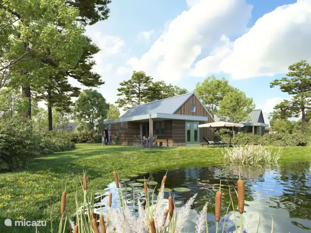 Comprar una casa vacacional en Países Bajos, Drente, Gasselte - Vivienda unifamiliar Zwanemeerbos
