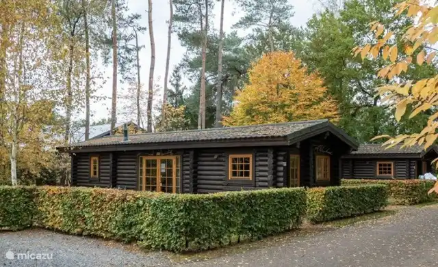 ferienhaus kaufen in Niederlande, Gelderland, Otterlo – Veluwe-Jagdhütte 450