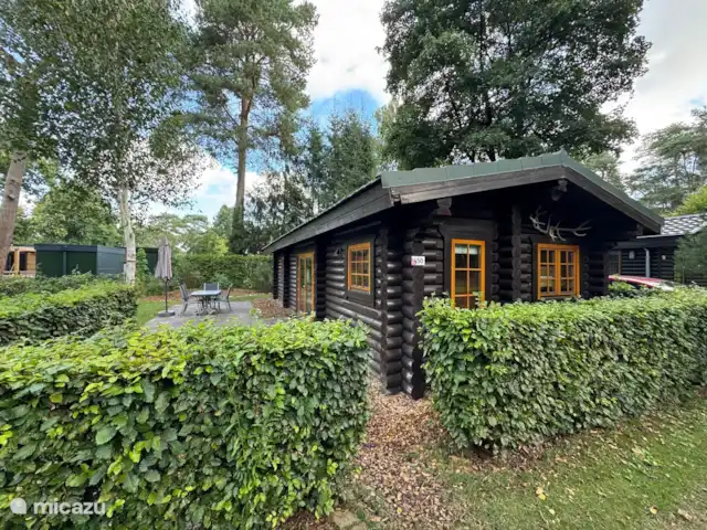 Veluwse Jachthut kopen in Nederland, Gelderland, Otterlo - vakantiehuis