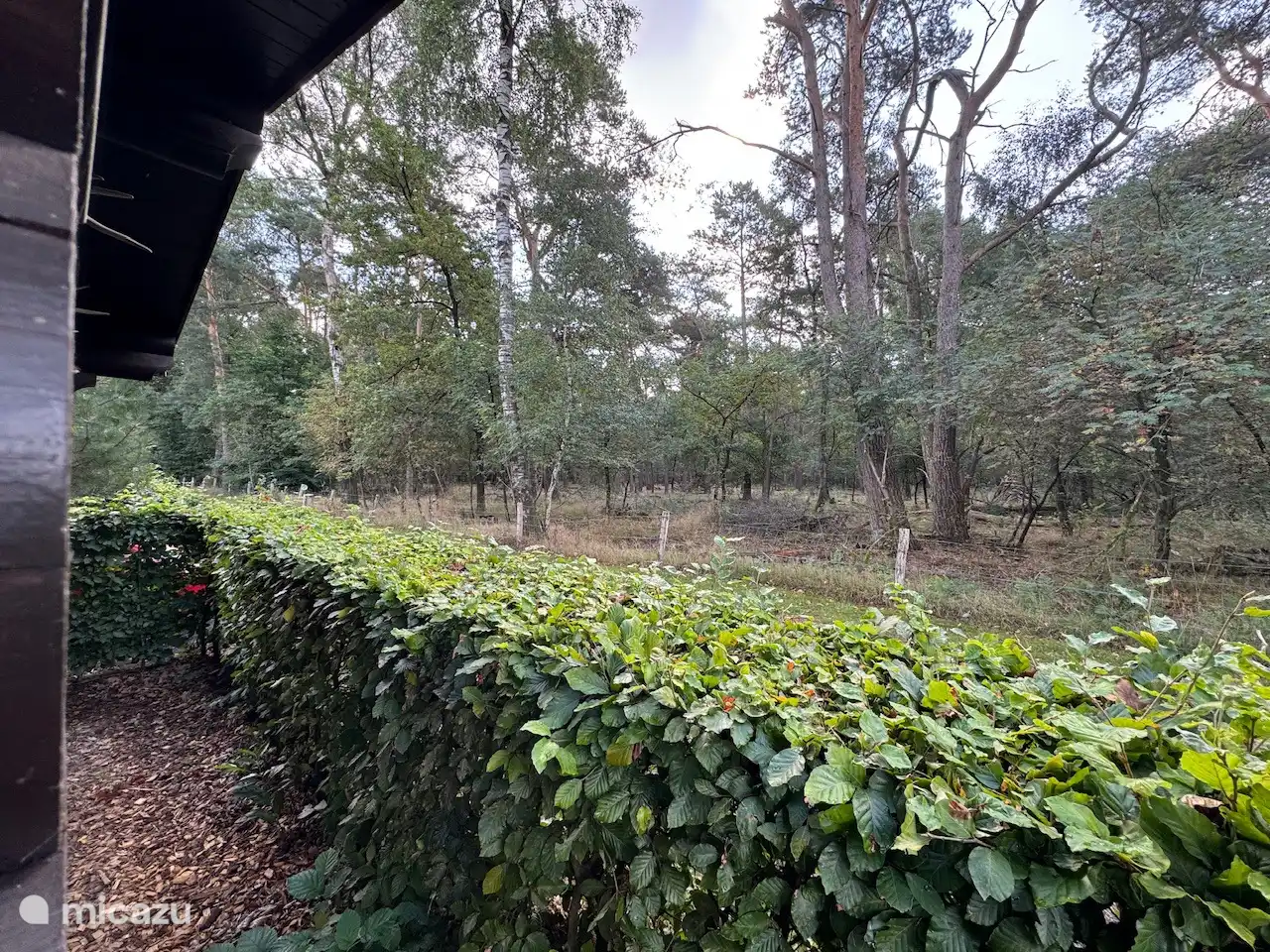 ferienhaus kaufen in Niederlande, Gelderland, Otterlo – Veluwe-Jagdhütte 450