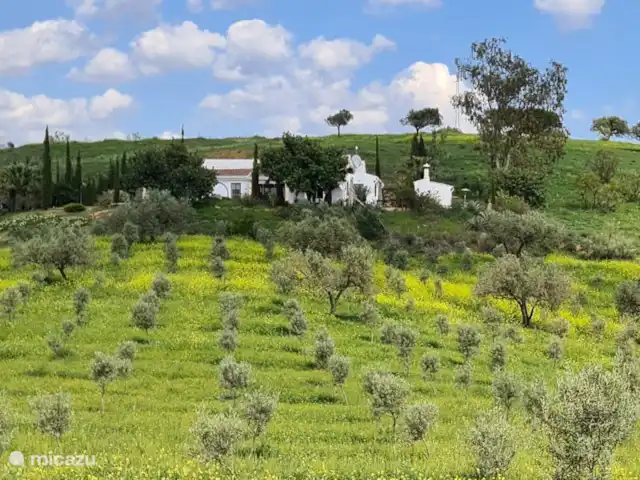 Villa met prachtige ligging kopen in Spanje, Andalusië, Los Romanes - villa