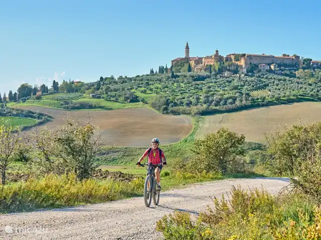 Toscaanse villa kopen in Italië, Toscane, Lucca - villa