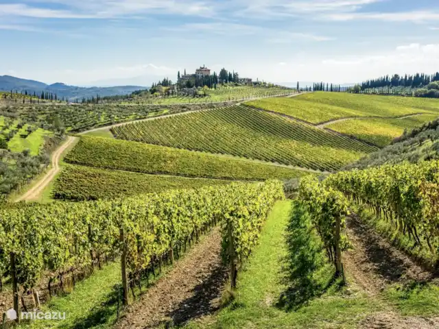 Toscaanse villa kopen in Italië, Toscane, Lucca - villa