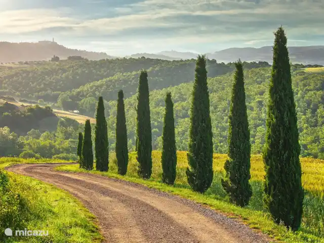 Toscaanse villa kopen in Italië, Toscane, Lucca - villa