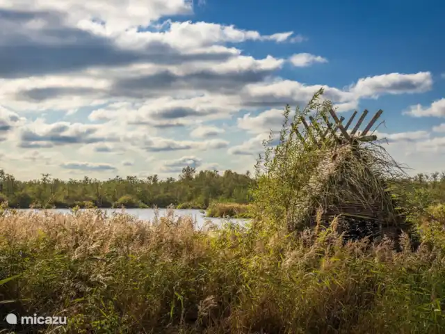 Comprar una villa en Países Bajos, Frise, Noardburgum - Villa de Agua Independiente Perdiz