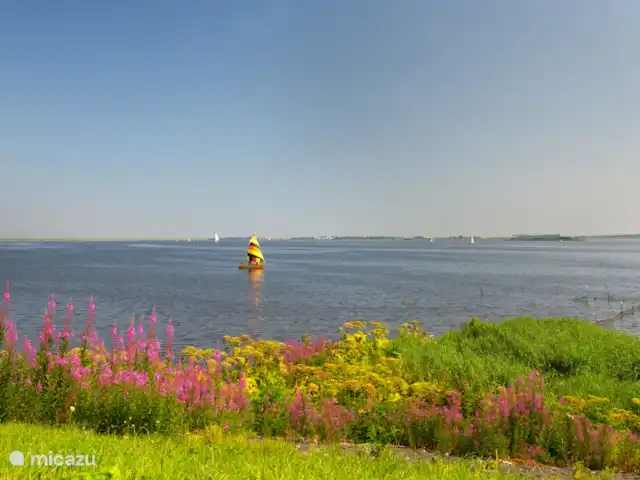 Comprar una villa en Países Bajos, Frise, Noardburgum - Avetoro de villa de agua independiente