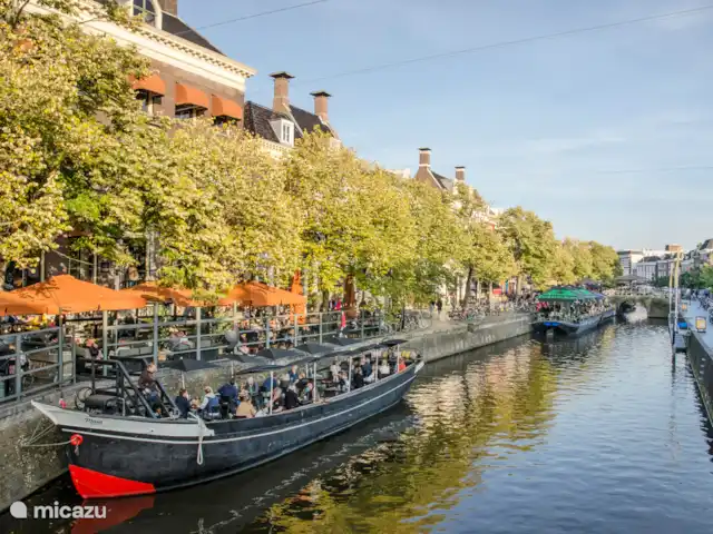 Comprar una villa en Países Bajos, Frise, Noardburgum - Avetoro de villa de agua independiente