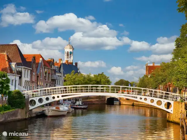 Comprar una villa en Países Bajos, Frise, Noardburgum - Avetoro de villa de agua independiente