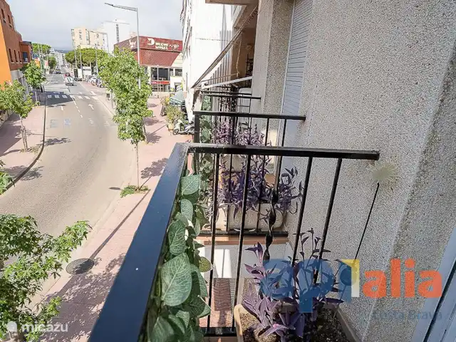 Acheter une location de vacances | Espagne, appartement - Appartement spacieux près de la mer