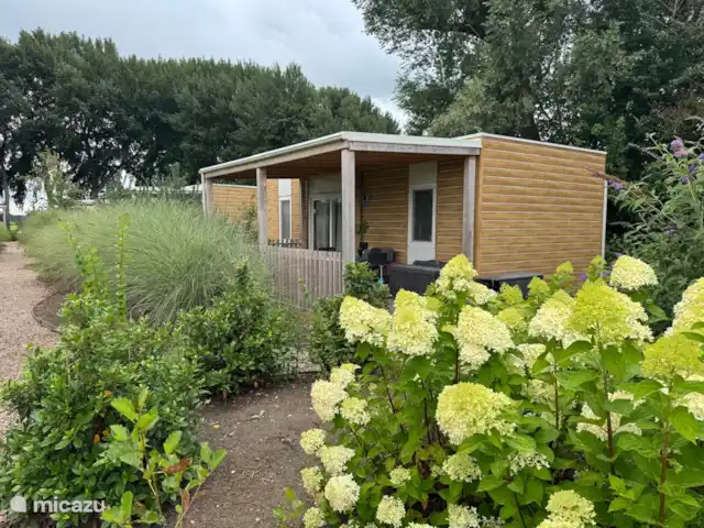 Cosy Unique Veranda Veluwemeer  kopen in Nederland, Gelderland, Nunspeet - chalet Cosy Unique Veranda Veluwemeer  kopen in Nederland, Gelderland, Nunspeet - chalet