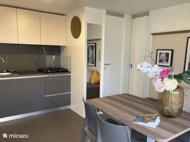 Cosy Unique Veranda Veluwemeer  kopen in Nederland, Gelderland, Nunspeet - chalet