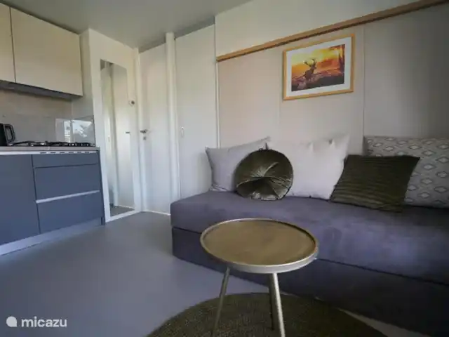 Acheter une chalet | Pays-Bas, Gueldre, Nunspeet - Cottage 6 personnes Veluwemeer