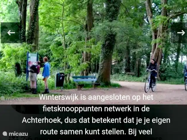 Chalet Oslo kopen in Nederland, Gelderland, Winterswijk - chalet