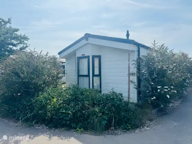 Comprar una chalet en Países Bajos, Barbante Septentrional, Linden - Casa de campo kraaijen Bergse Plassen