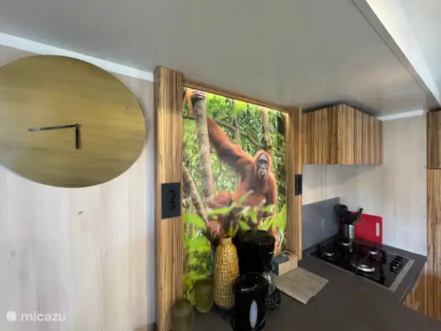 577 Chalet Zuiderzee kopen in Nederland, Flevoland, Biddinghuizen - chalet