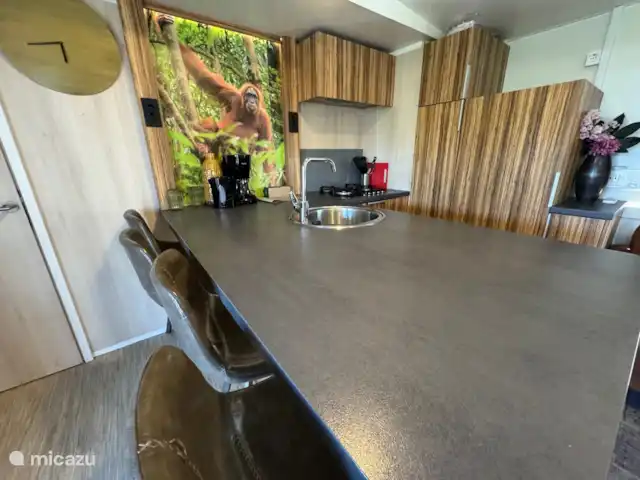577 Chalet Zuiderzee kopen in Nederland, Flevoland, Biddinghuizen - chalet