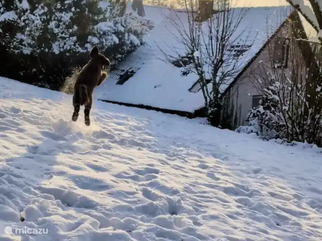 Comprar una casa vacacional en Alemania, Sauerland, Bleiwäsche - Casa con vistas en Sauerland