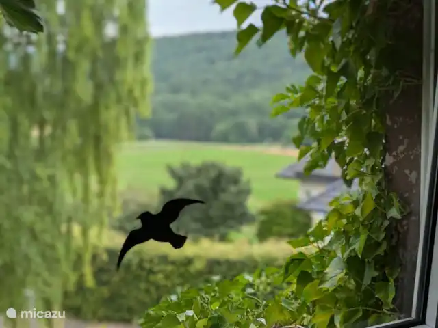 Comprar una casa vacacional en Alemania, Sauerland, Bleiwäsche - Casa con vistas en Sauerland