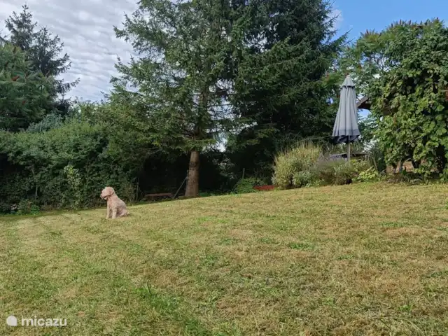 Comprar una casa vacacional en Alemania, Sauerland, Bleiwäsche - Casa con vistas en Sauerland