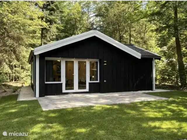 116 Recreatiewoning Ruinen  kopen in Nederland, Drenthe, Ruinen - bungalow