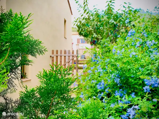 Acheter une villa | Espagne, Costa Brava, Calonge - Puig Rosell