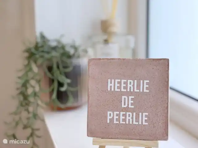 Comprar una villa en Países Bajos, Fevolanda, Biddinghuizen - 141 ECO-Villa Zuiderzee