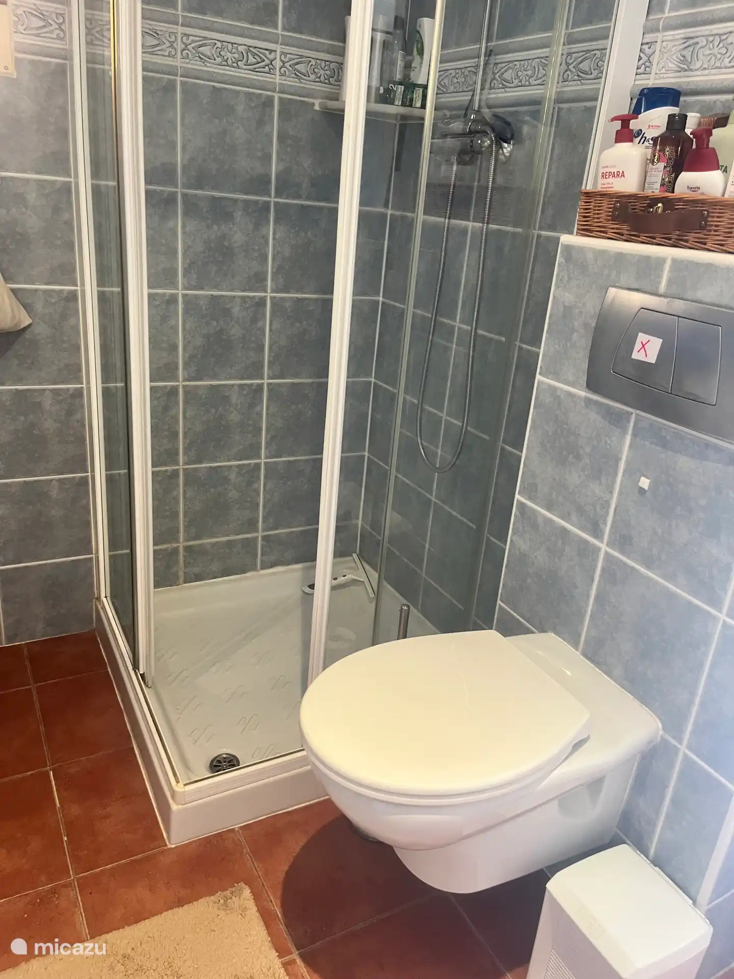 Dusche mit hängender Toilette im ersten Badezimmer