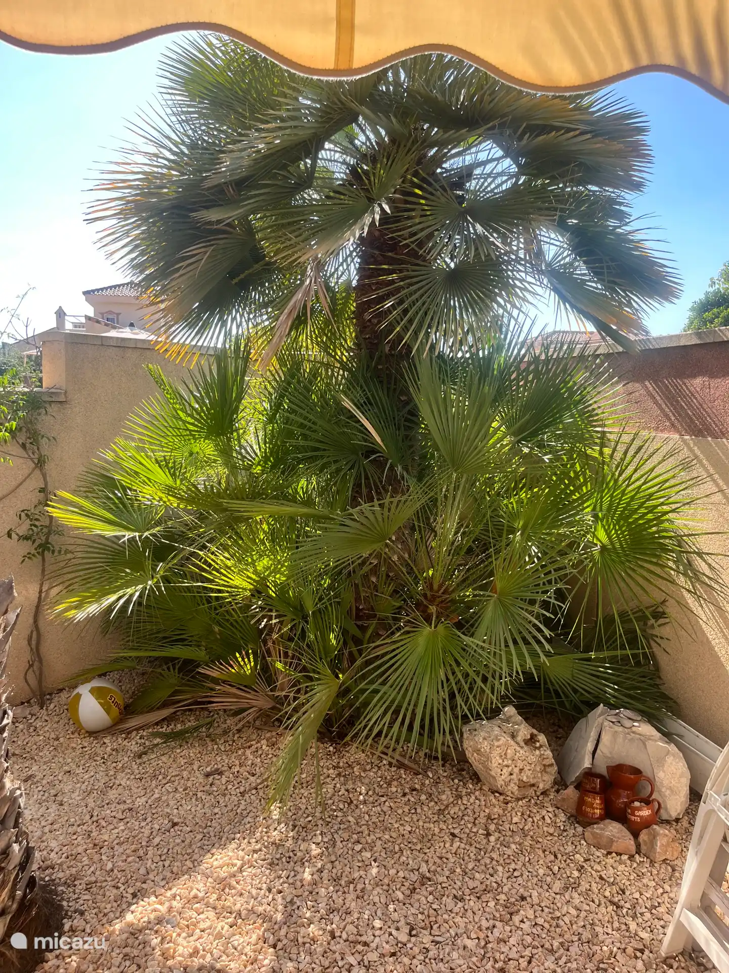 1 der 7 Handflächen