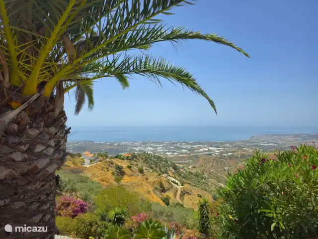 Comprar una villa en España, Andalucía, Arenas - Casa Luna