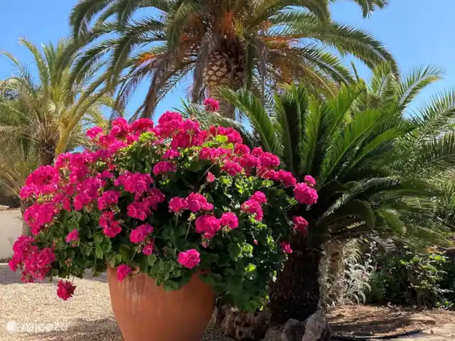 Acheter une villa | Espagne, Costa Blanca, Moraira - Villa avec piscine à Moraira