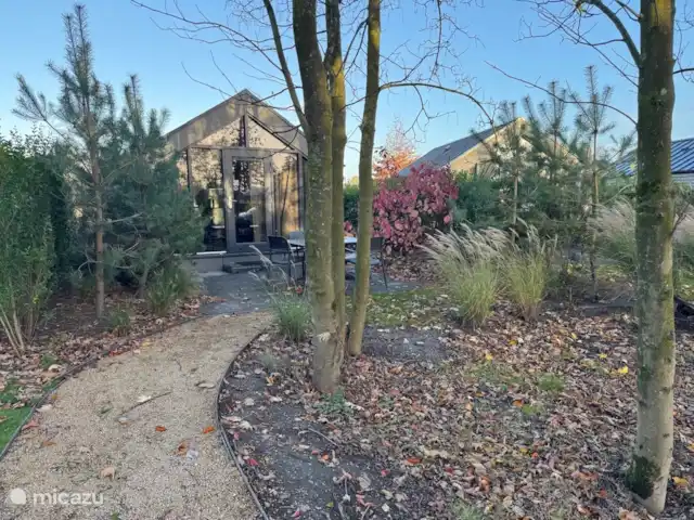 Tiny house 498 Veluwemeer kopen in Nederland, Gelderland, Nunspeet - chalet