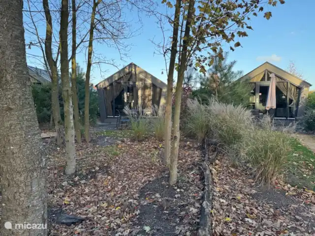 Tiny house 498 Veluwemeer kopen in Nederland, Gelderland, Nunspeet - chalet