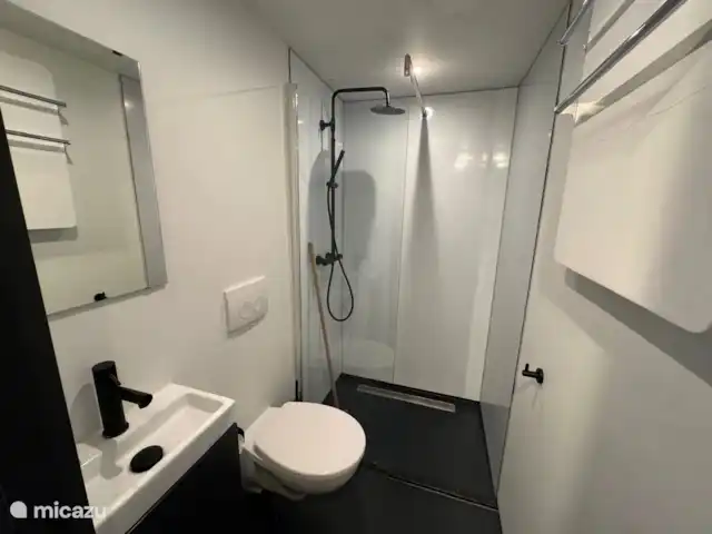 Tiny house 498 Veluwemeer kopen in Nederland, Gelderland, Nunspeet - chalet