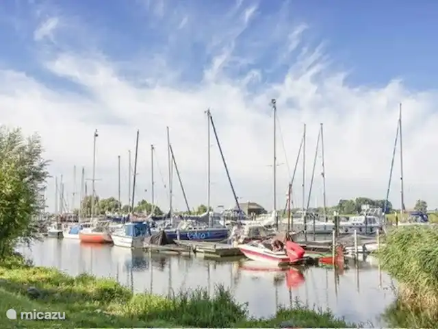 Tiny house 498 Veluwemeer kopen in Nederland, Gelderland, Nunspeet - chalet