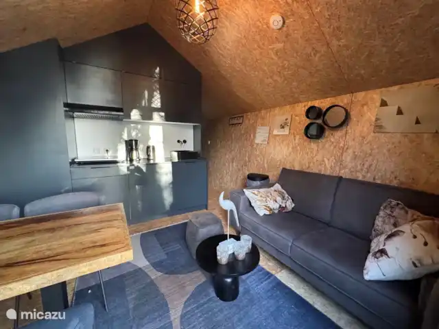 Tiny house 498 Veluwemeer kopen in Nederland, Gelderland, Nunspeet - chalet