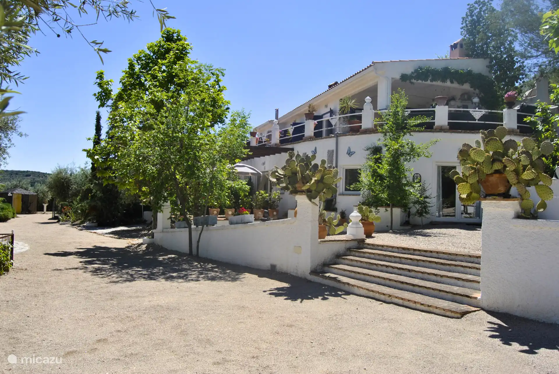 The studios in the basement located in the garden with swimming pool.