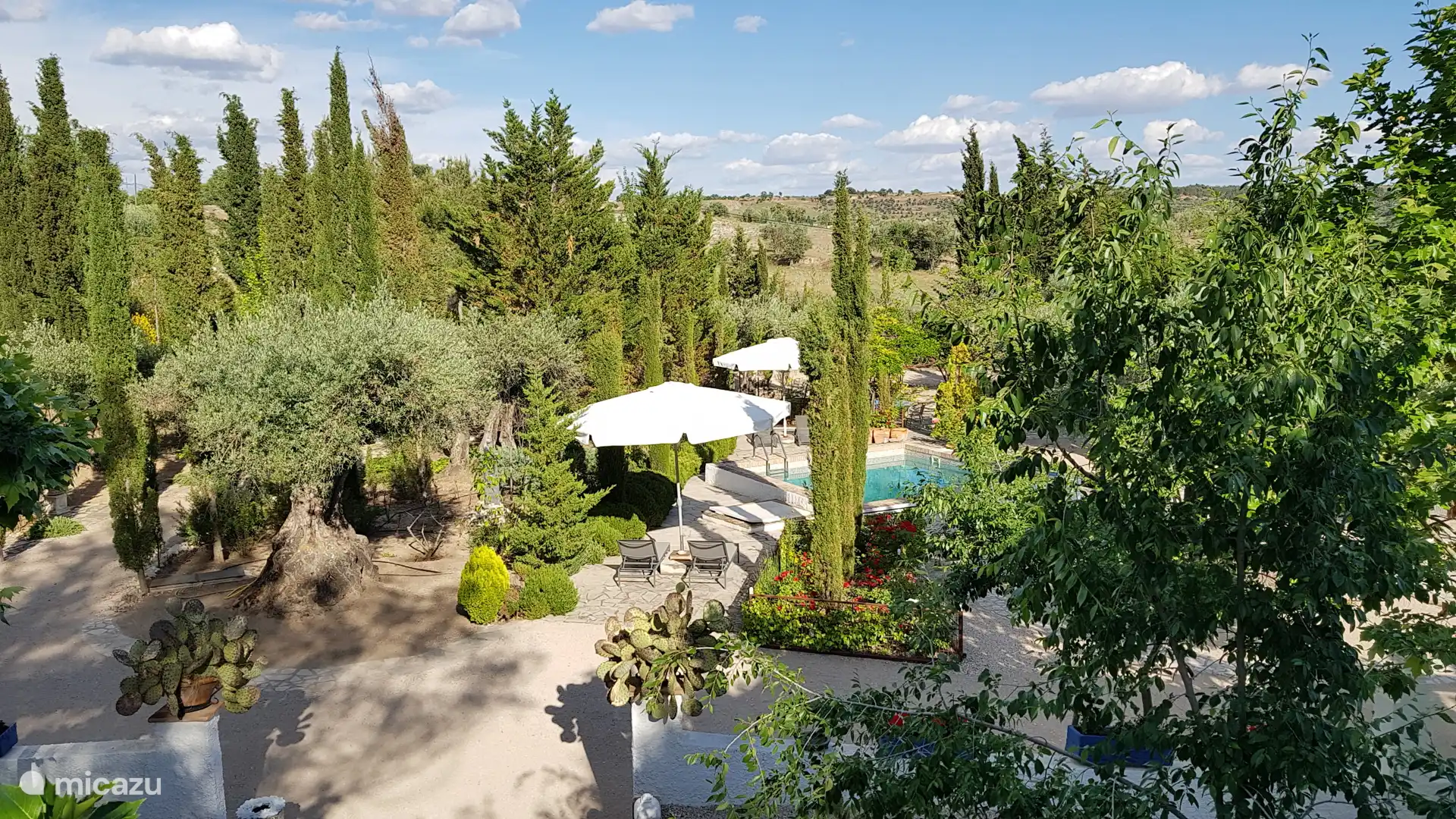 Garden with swimming pool