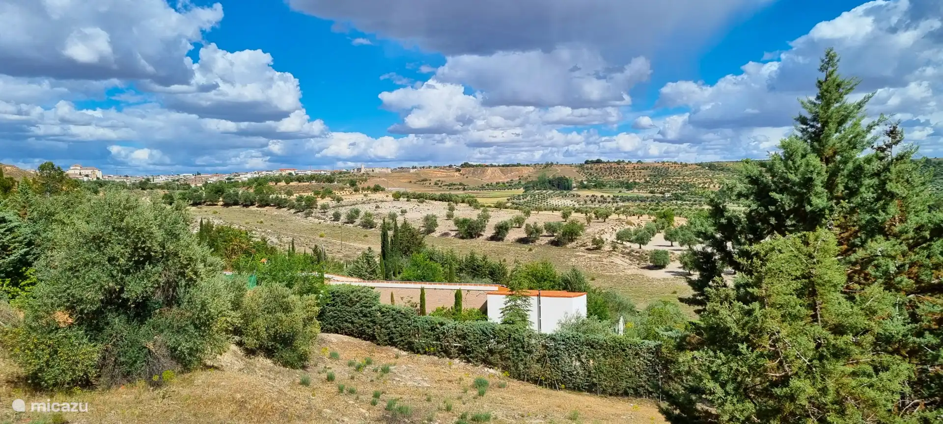 View from the main house and the apartment. On the left the church of Chinchón.