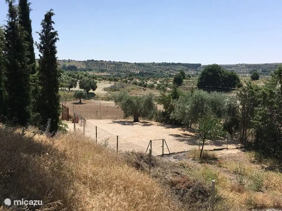 Guest parking spaces.