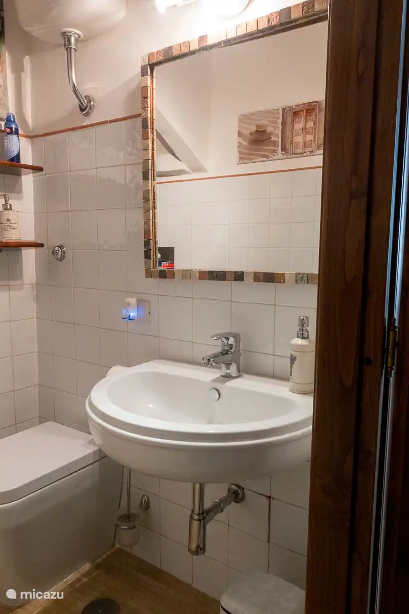 Badkamer begane grond.